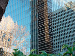 skyscraper